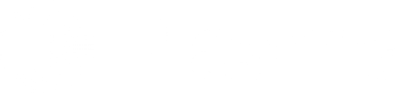 Plasma