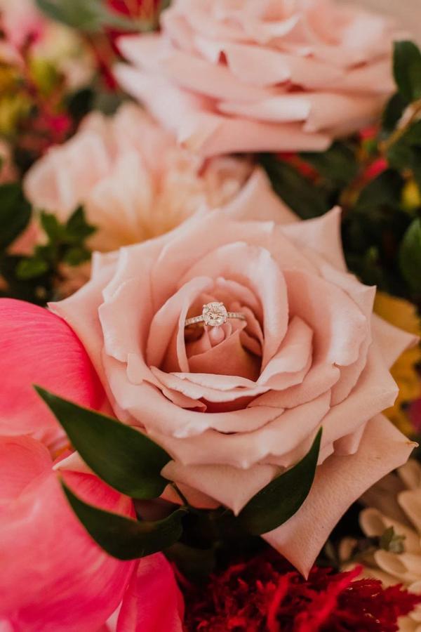 Luke & Sophie wedding photography — Garden of Grace floral portfolio