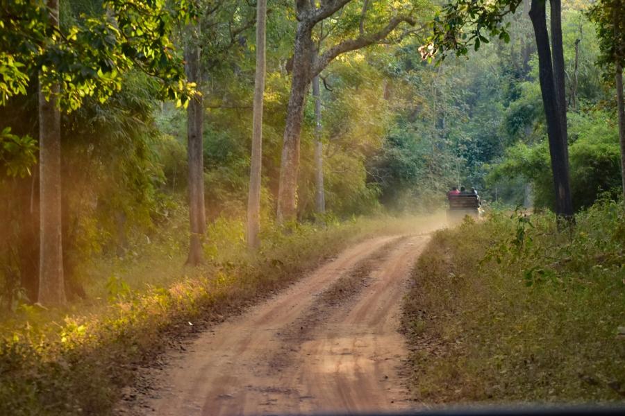 Road and landscape near Bardiya National Park in western Nepal (https://unsplash.com/photos/vehicle-on-dusty-forest-road-q5VHYV9XKdA?utm_source=unsplash&utm_medium=referral&utm_content=creditShareLink)