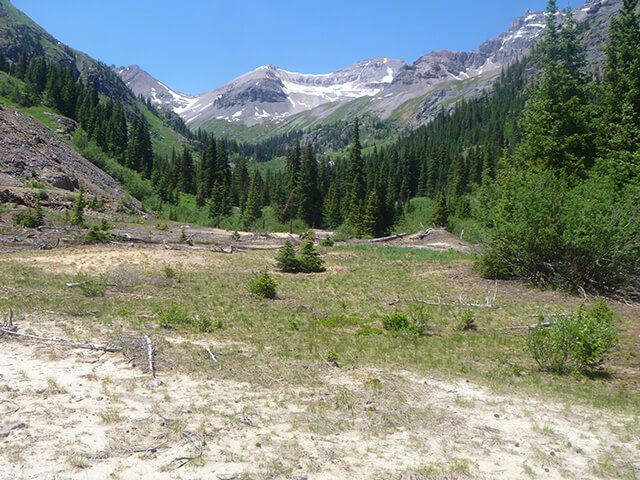 Fortune Minerals Limited – Revenue Mine