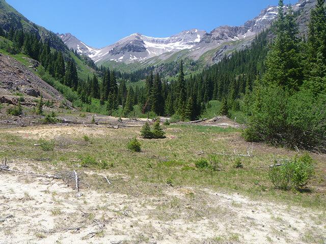 Fortune Minerals Limited – Revenue Mine