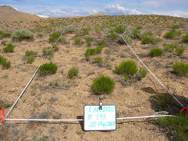 URS – Red Cliff Mine EIS