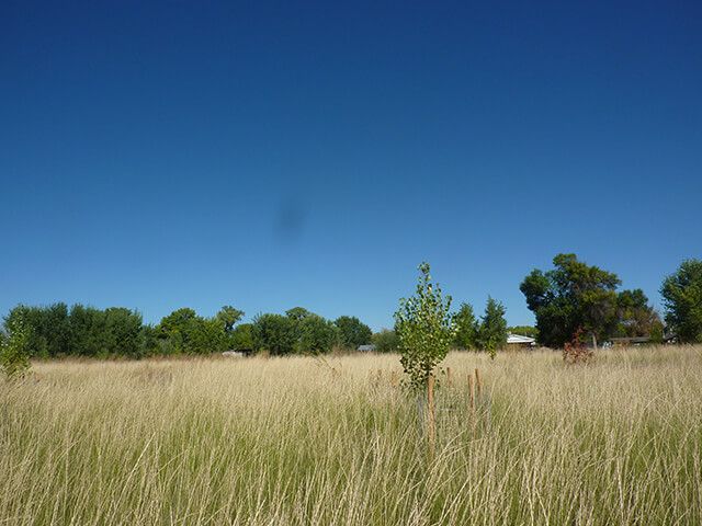 Grand Valley Irrigation Company – Habitat Replacement Plan