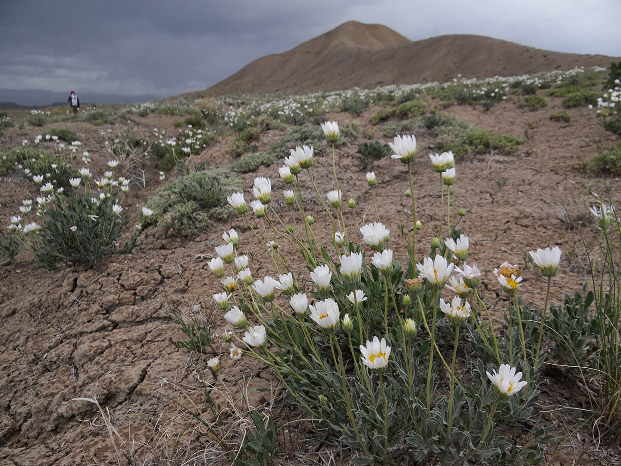 Grand Valley Power – Baxter Pass Power Line
