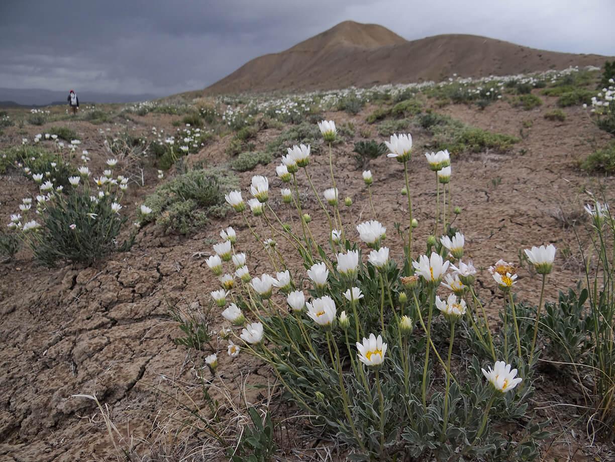 Grand Valley Power – Baxter Pass Power Line