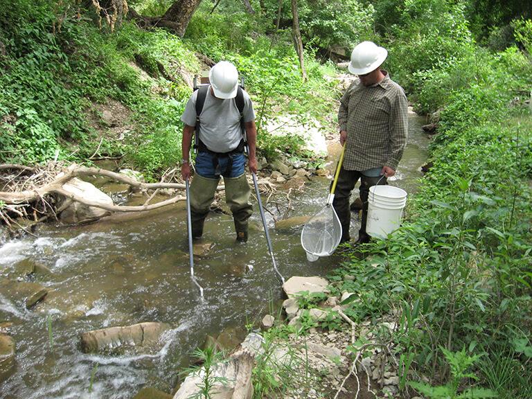 Clear Creek Fish Sampling Plan
