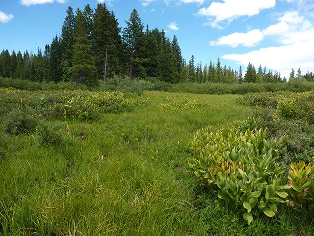 Mesa County – Palisade Plunge Bike Trail Project