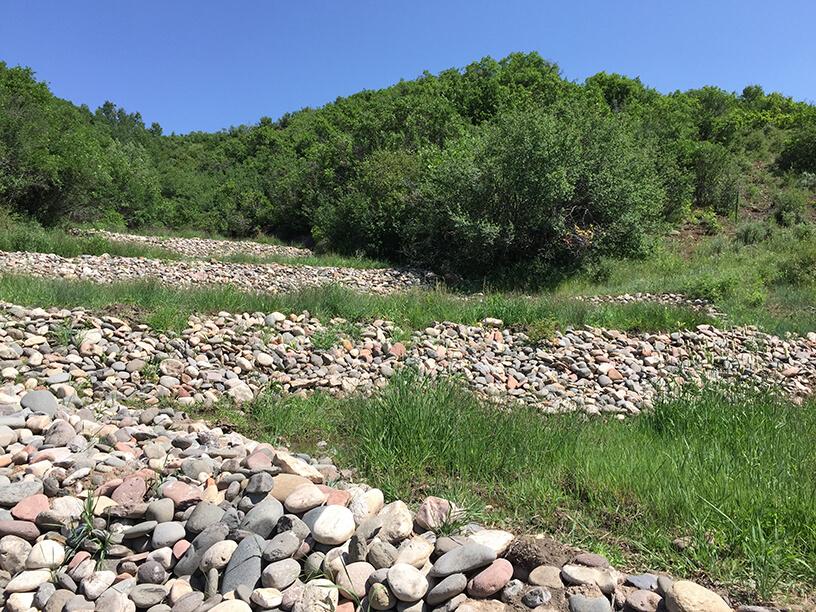 Rio Blanco County – State Highway 13 OHV Trail Compensatory Mitigation Plan