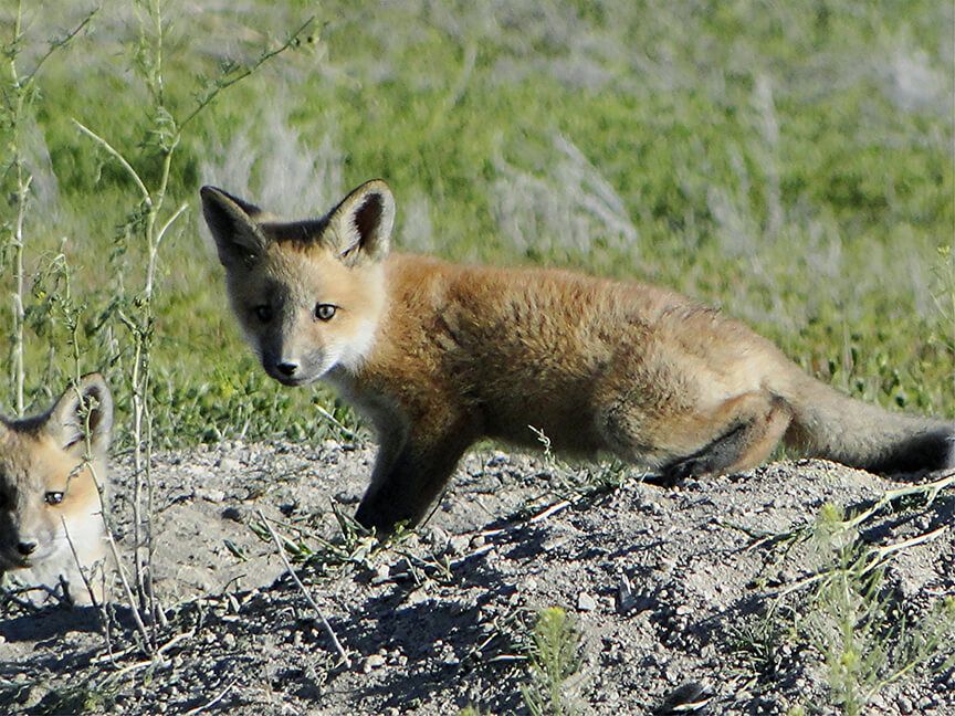 Enterprise Mid-America Pipeline – Western Expansion Project II (WEP II)