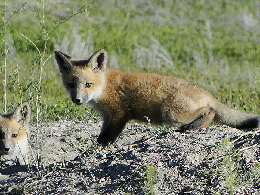 Enterprise Mid-America Pipeline – Western Expansion Project II (WEP II)