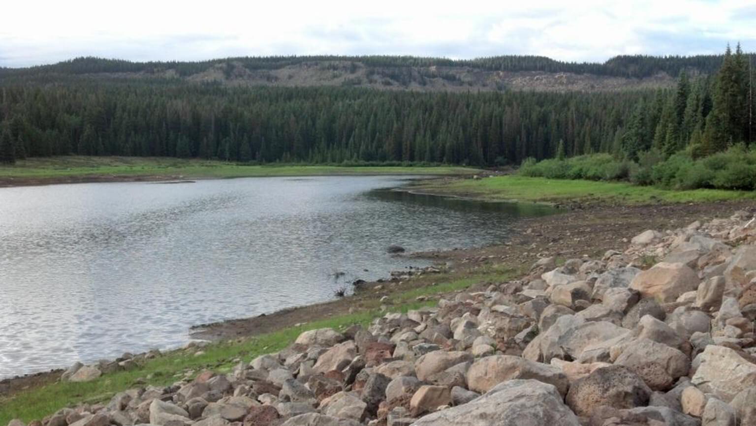 Bull Creek Ditch Company – Bull Creek Dam Repair and Vegetation Monitoring