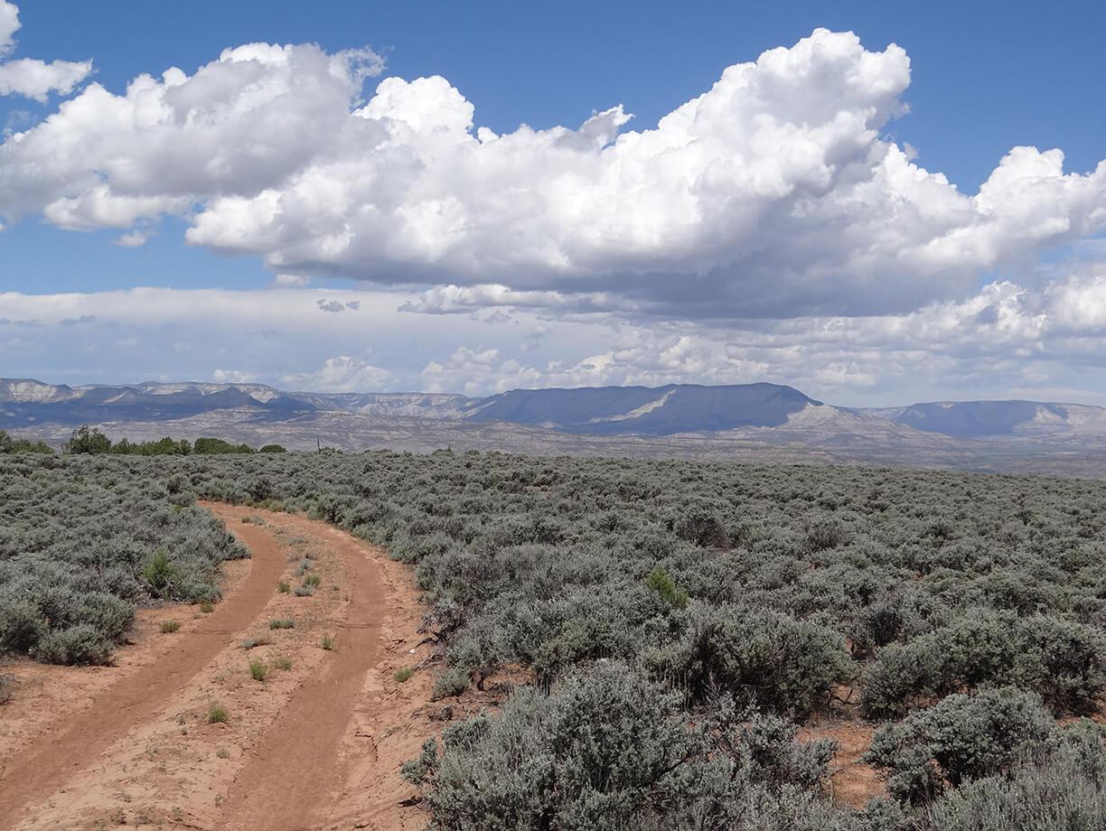 Bureau of Land Management, Grand Junction Field Office – Sunnyside Road Reclamation