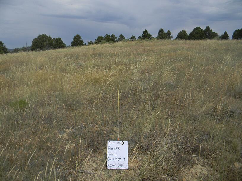 Well Pad & Pipeline Reclamation Monitoring