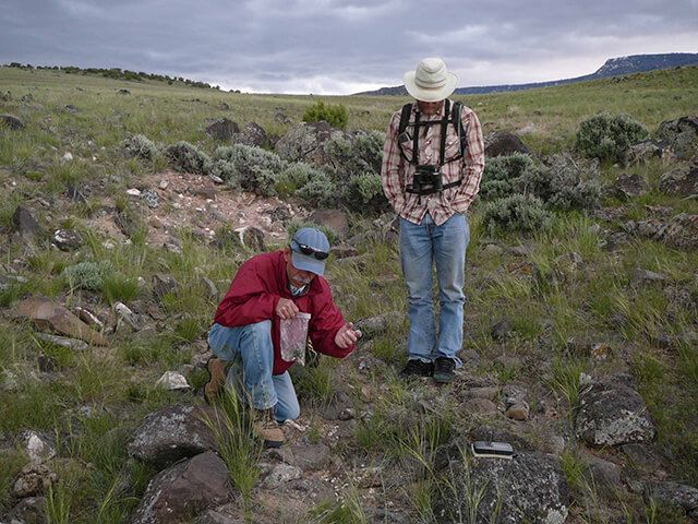 BLM – Renewable Energy ARRA Biologic Survey Project