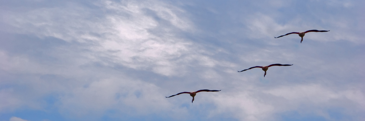 Burial, Repatriation & Final Expenses: What Most People Don’t Prepare For (But Should)