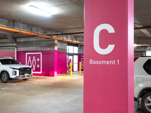 Pink Car Park