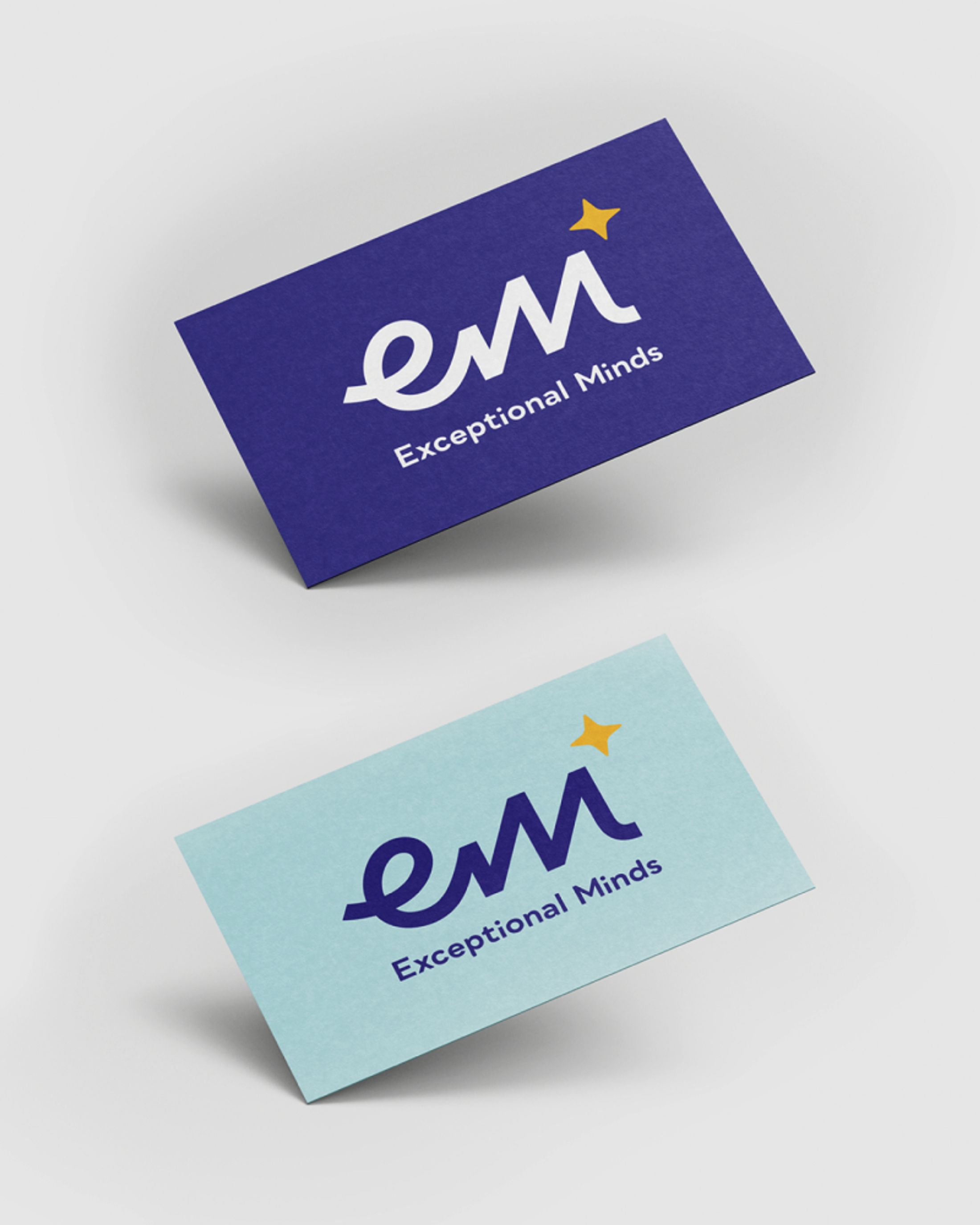 Exceptional Minds Identity