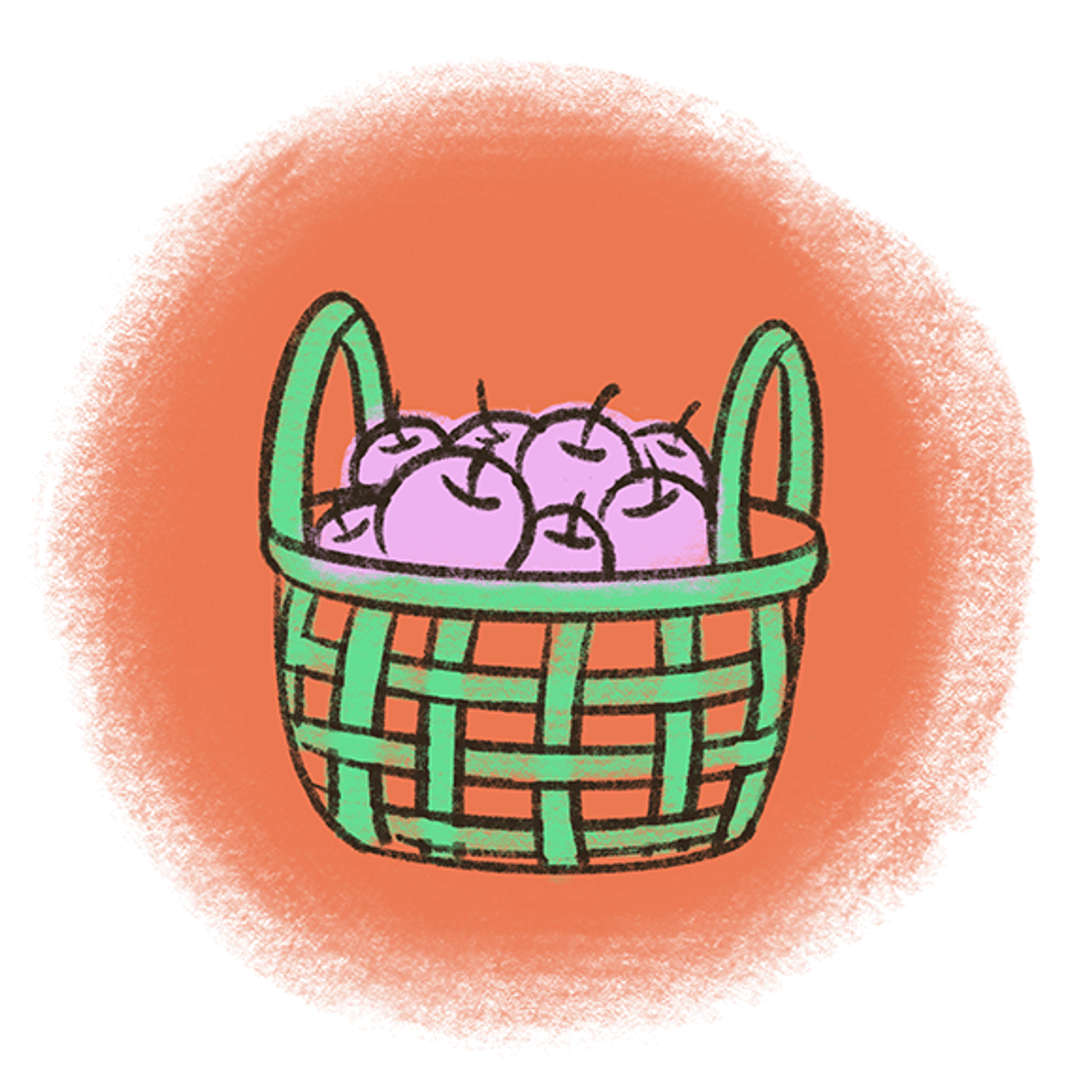 Health Equity Guide Website