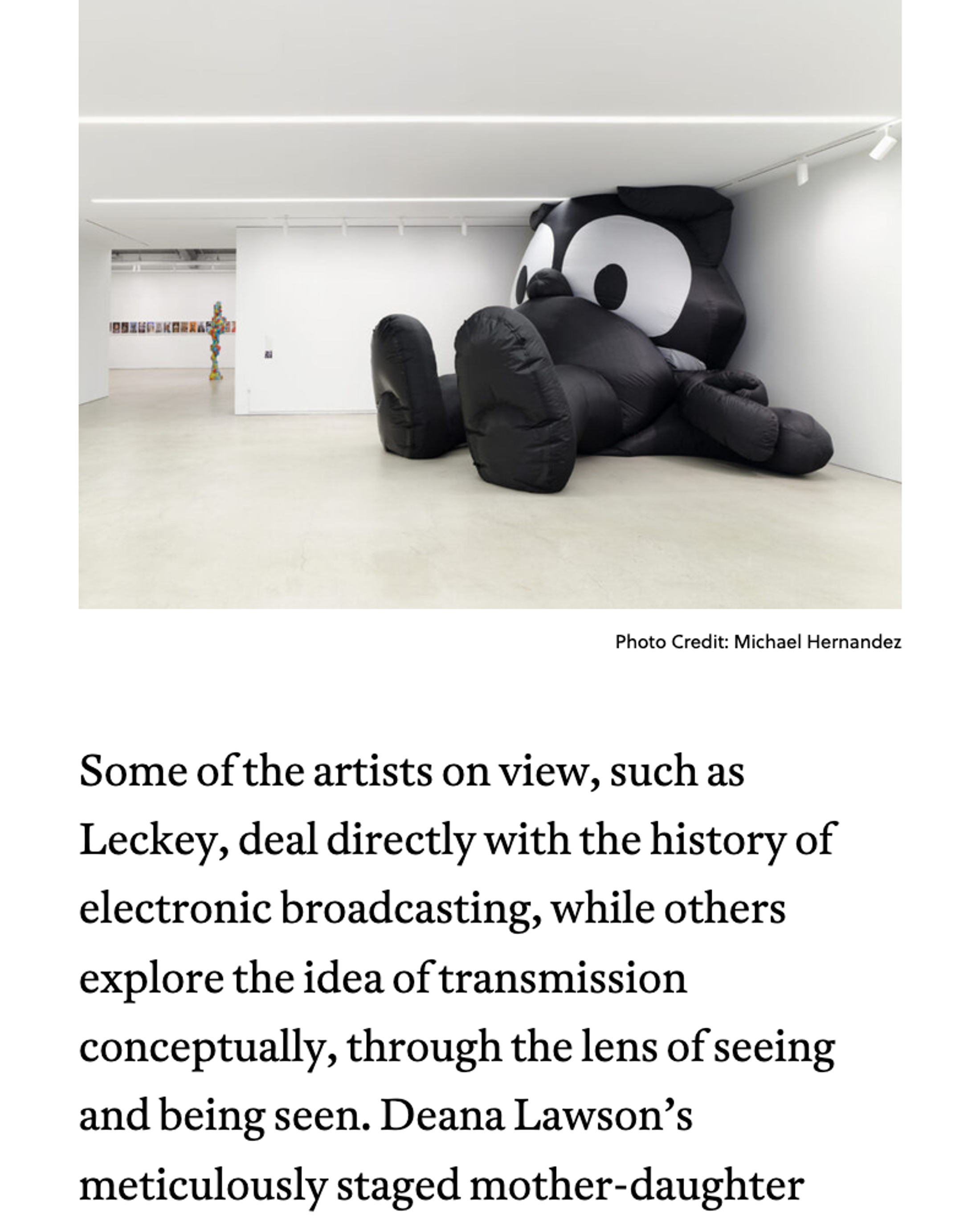 Marciano Art Foundation Website