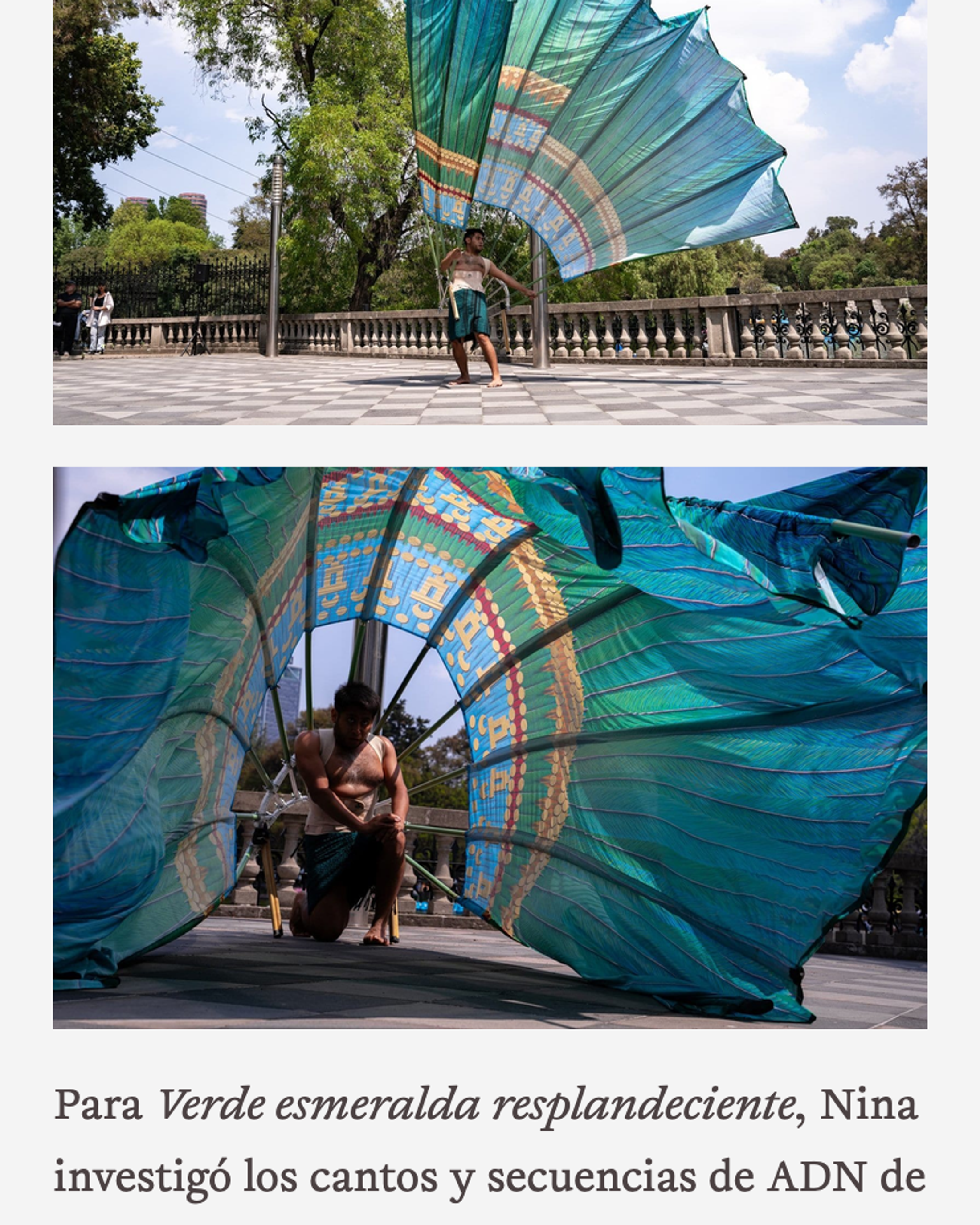 Performance Art Museum Website
