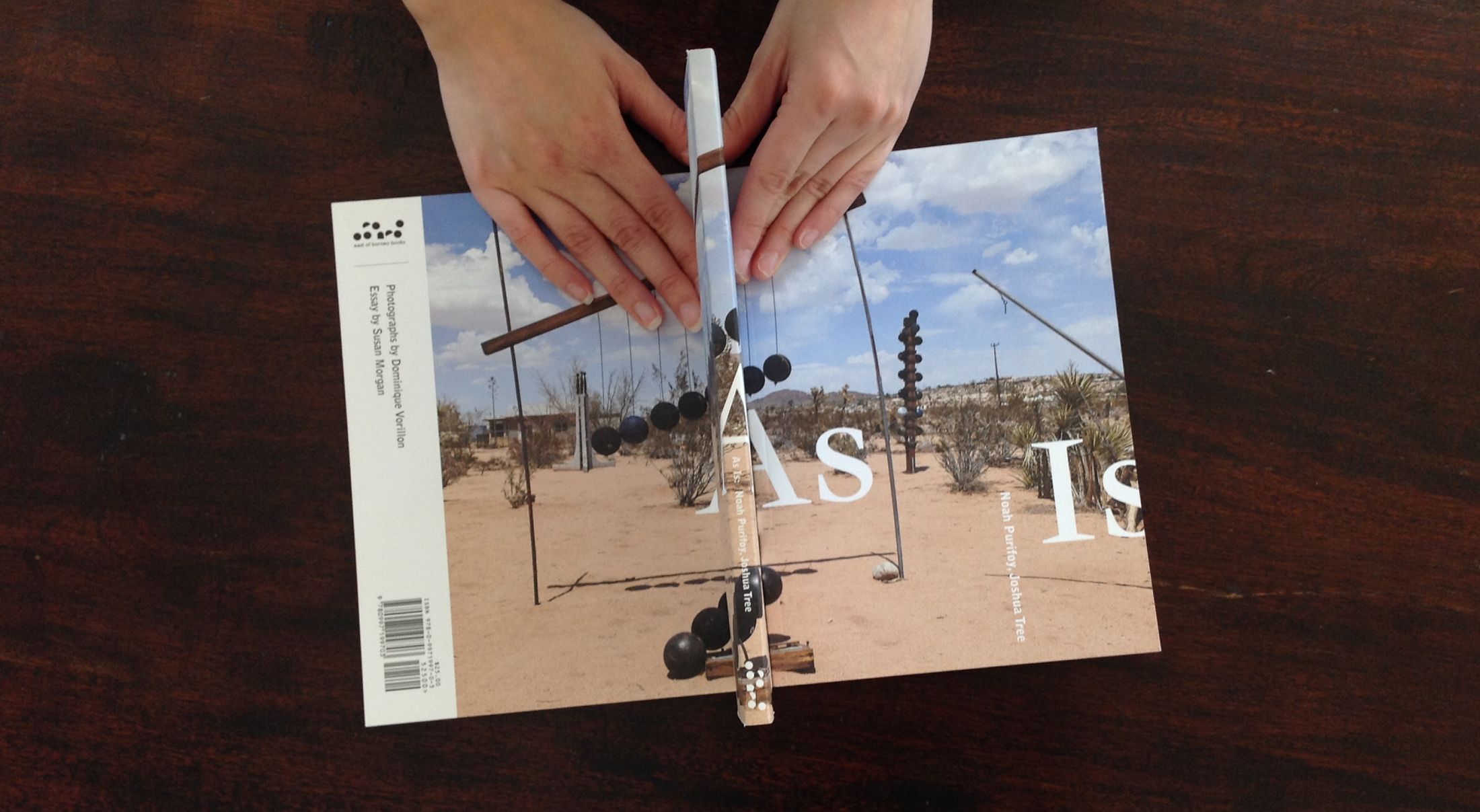 Noah Purifoy Book