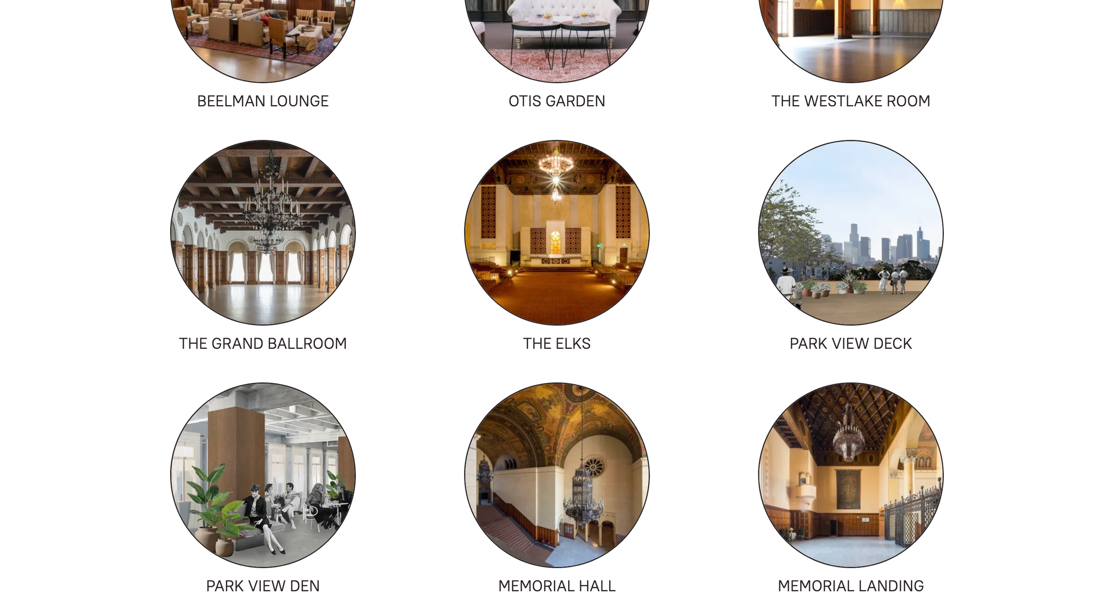 The MacArthur Website