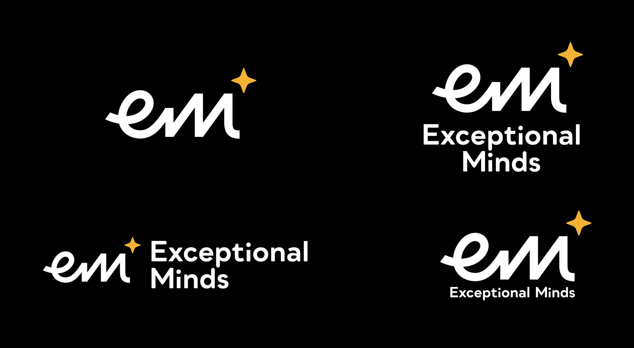 Exceptional Minds Identity
