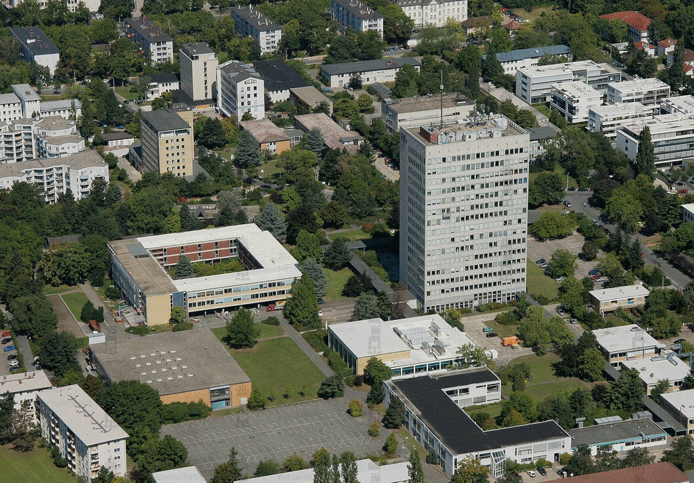 Cover image for Interview mit Eve*