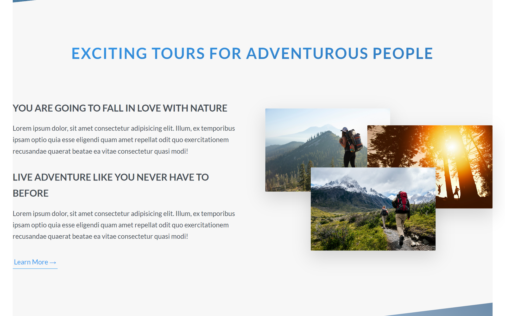 Image of a section in the website where the product is described.