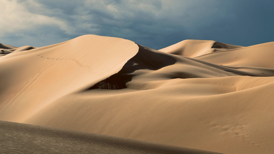 Free Agency Season Two: Applications Now Open