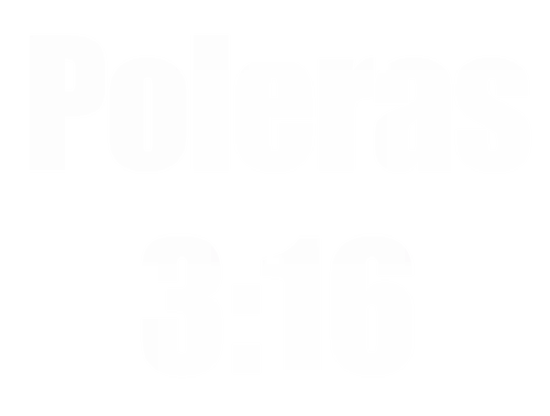 Poleras 316 logo