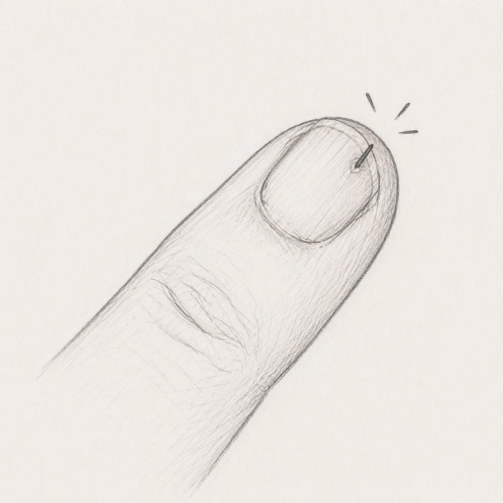 The Splinter