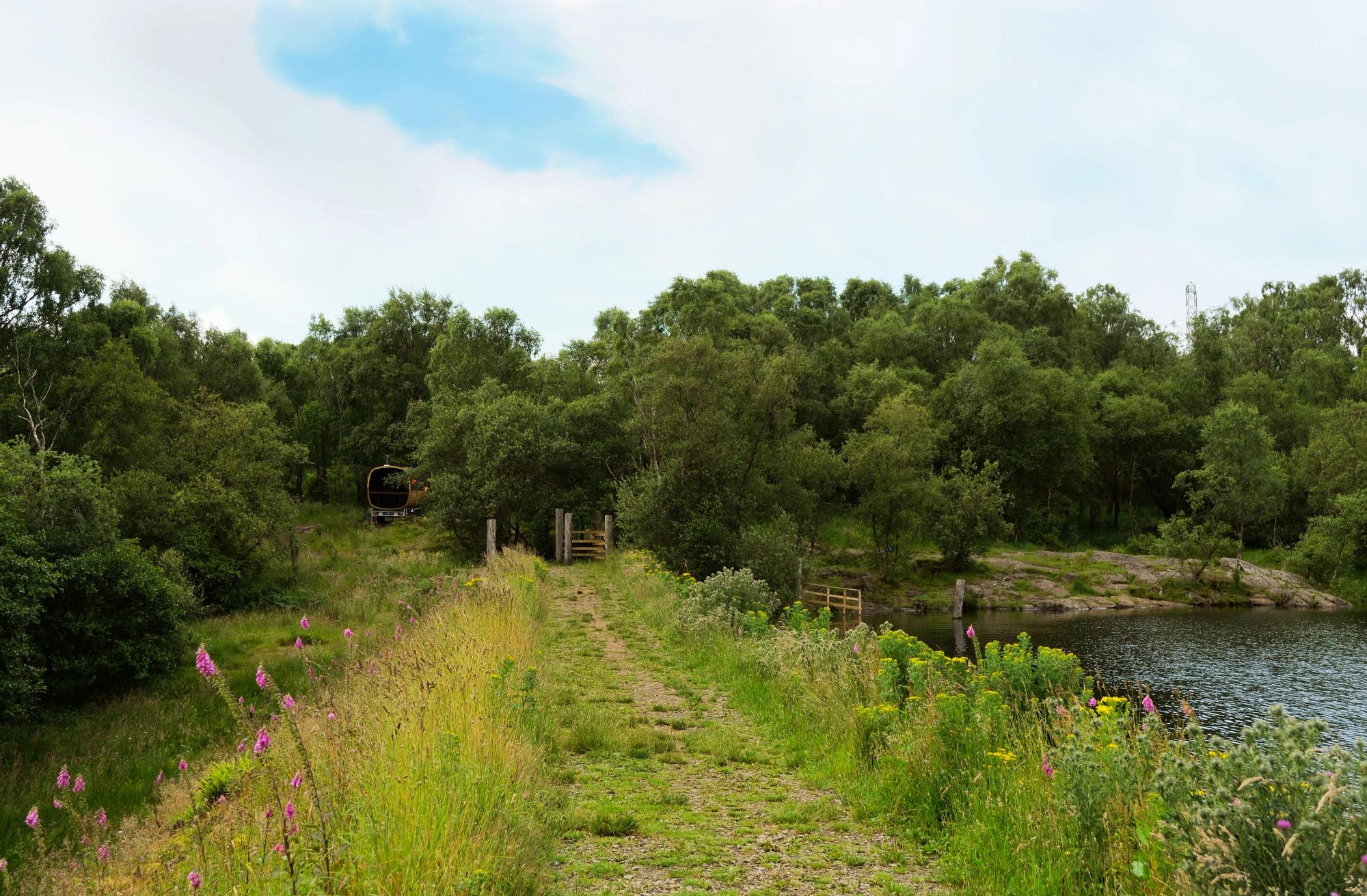 The sauna, hidden in the woods a few metres away from the loch