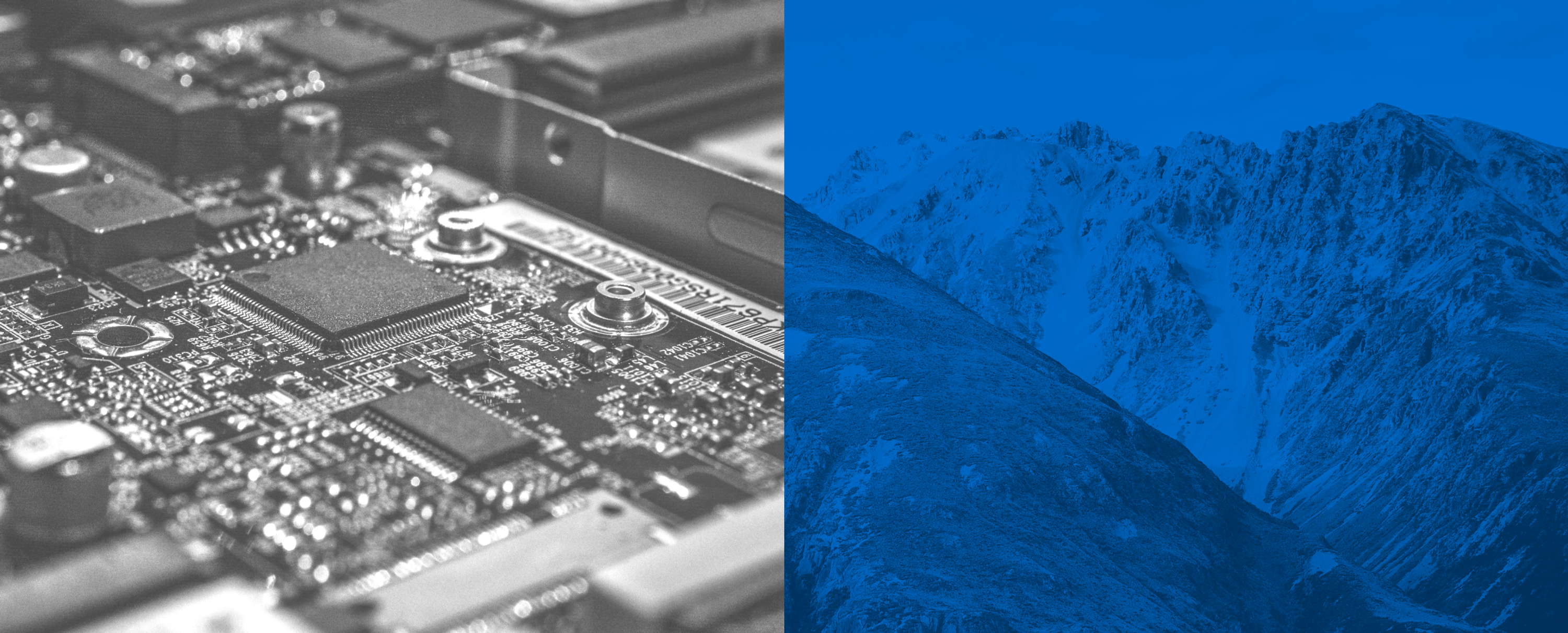 Future Electronics and Altana