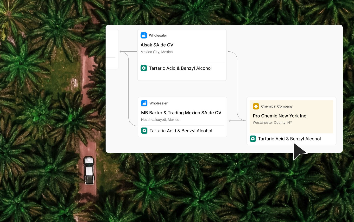 An overhead shot of a cart driving through dense forest