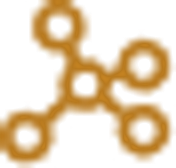 Network icon