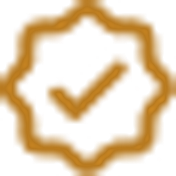 Compliance icon