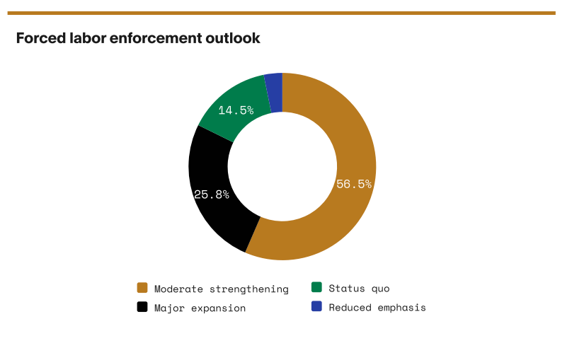Donut chart of forced labor enforcement outlook
