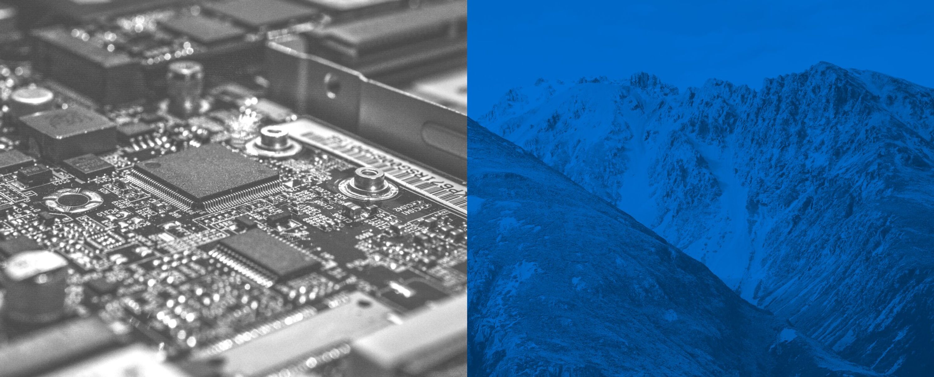 Future Electronics and Altana