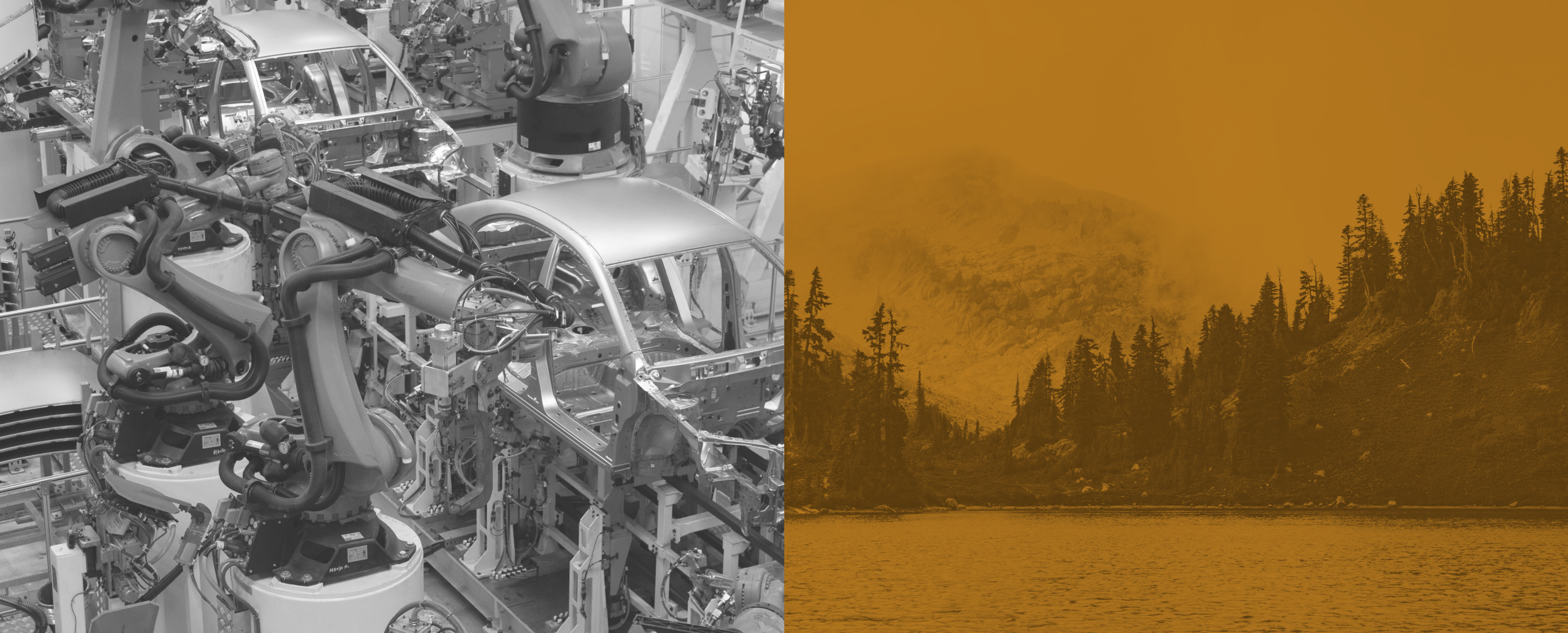 Electric Vehicle Transition