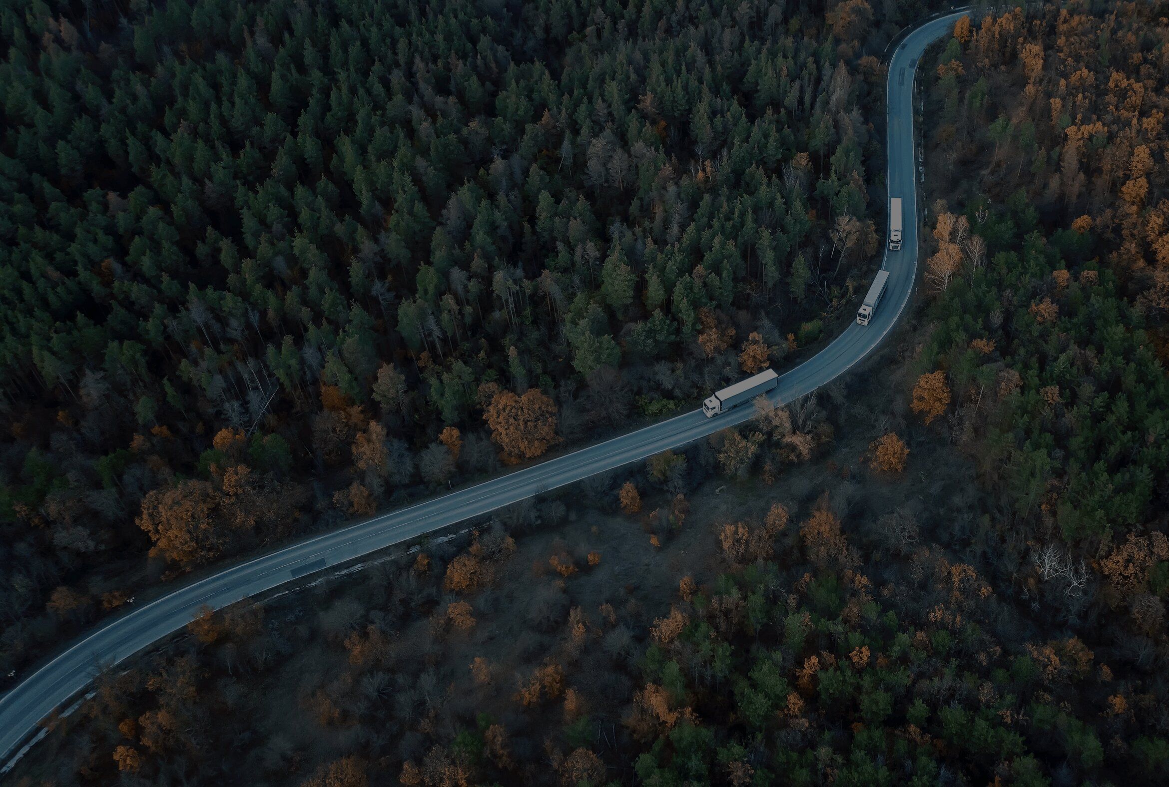 a truck driving through a dense forest