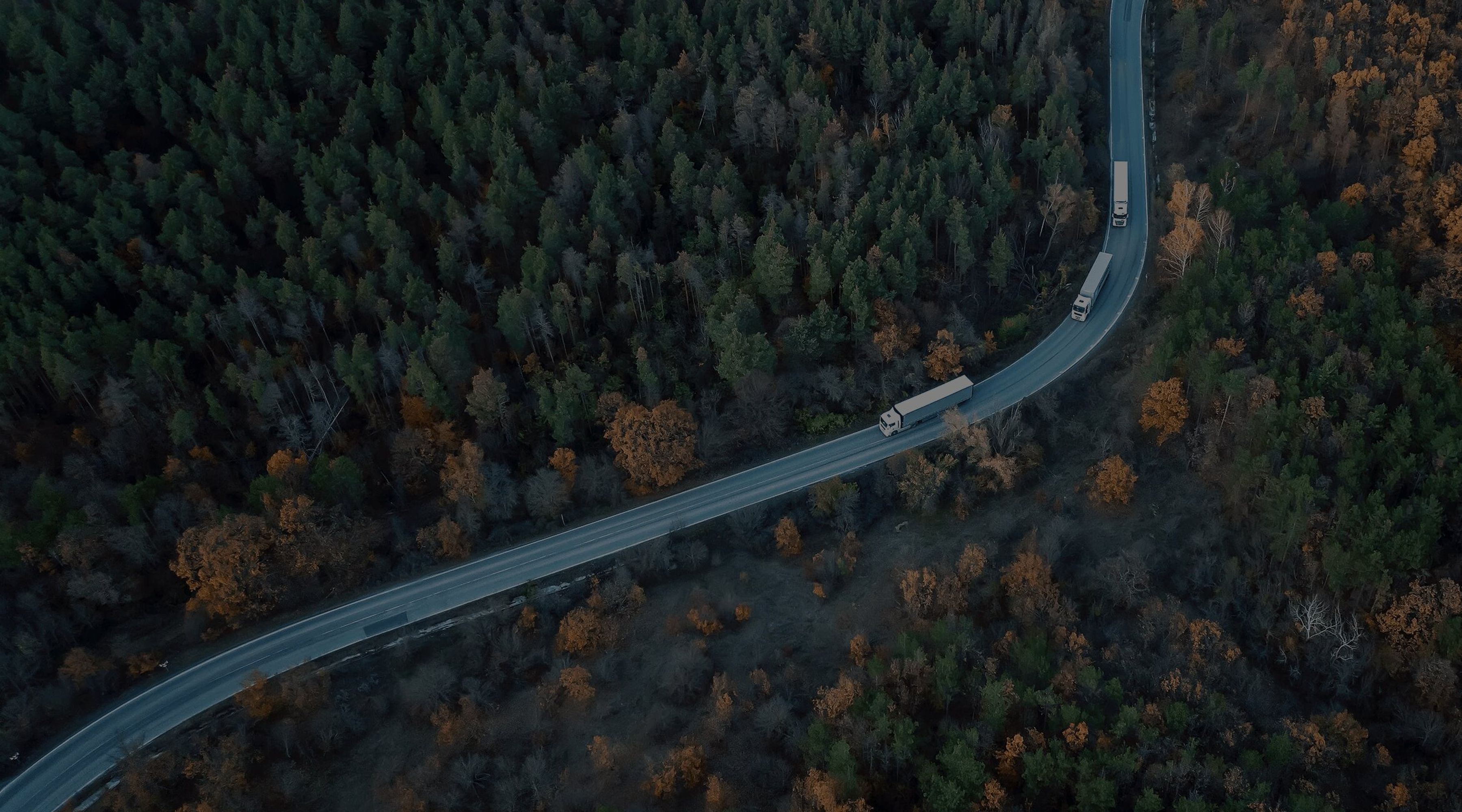 a truck driving through a dense forest