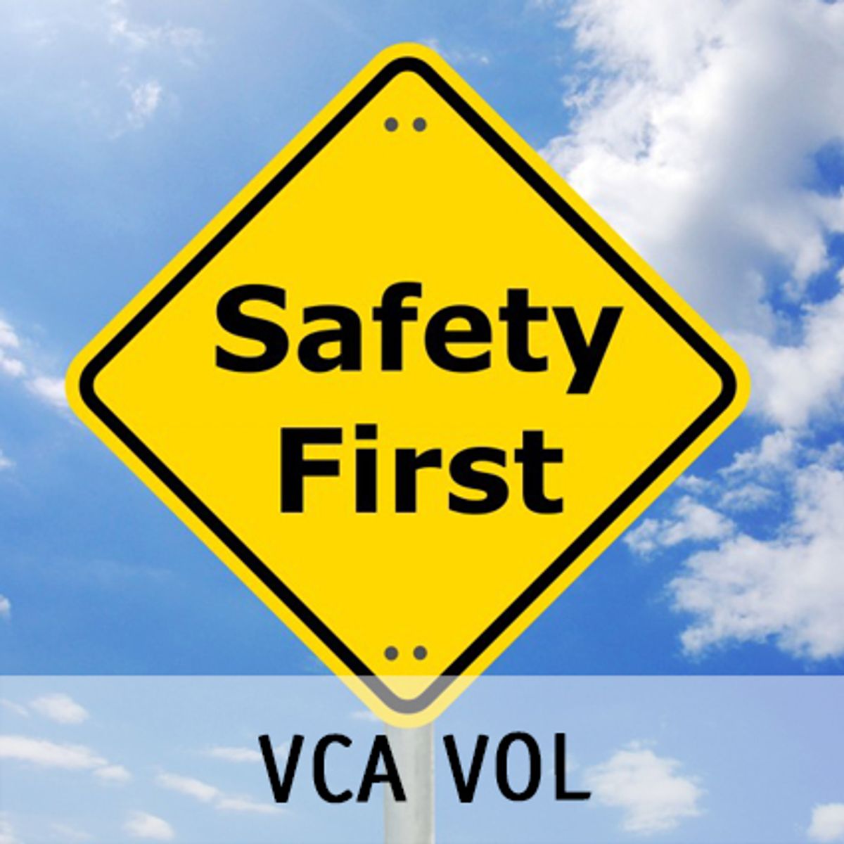 VCA VOL