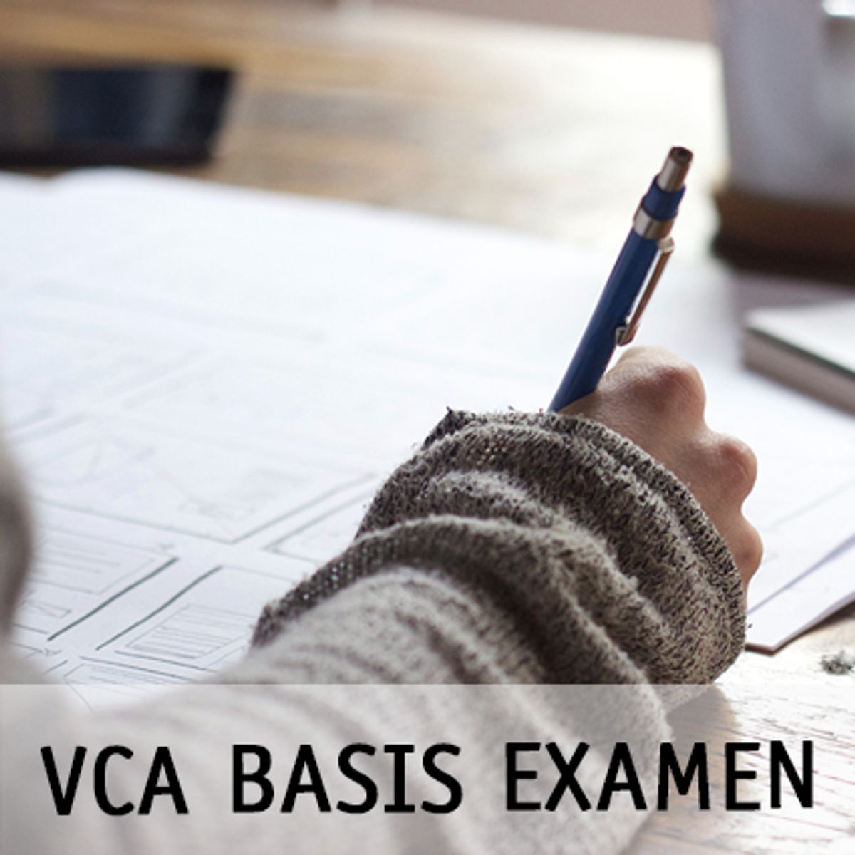 VCA BASIS EXAMEN