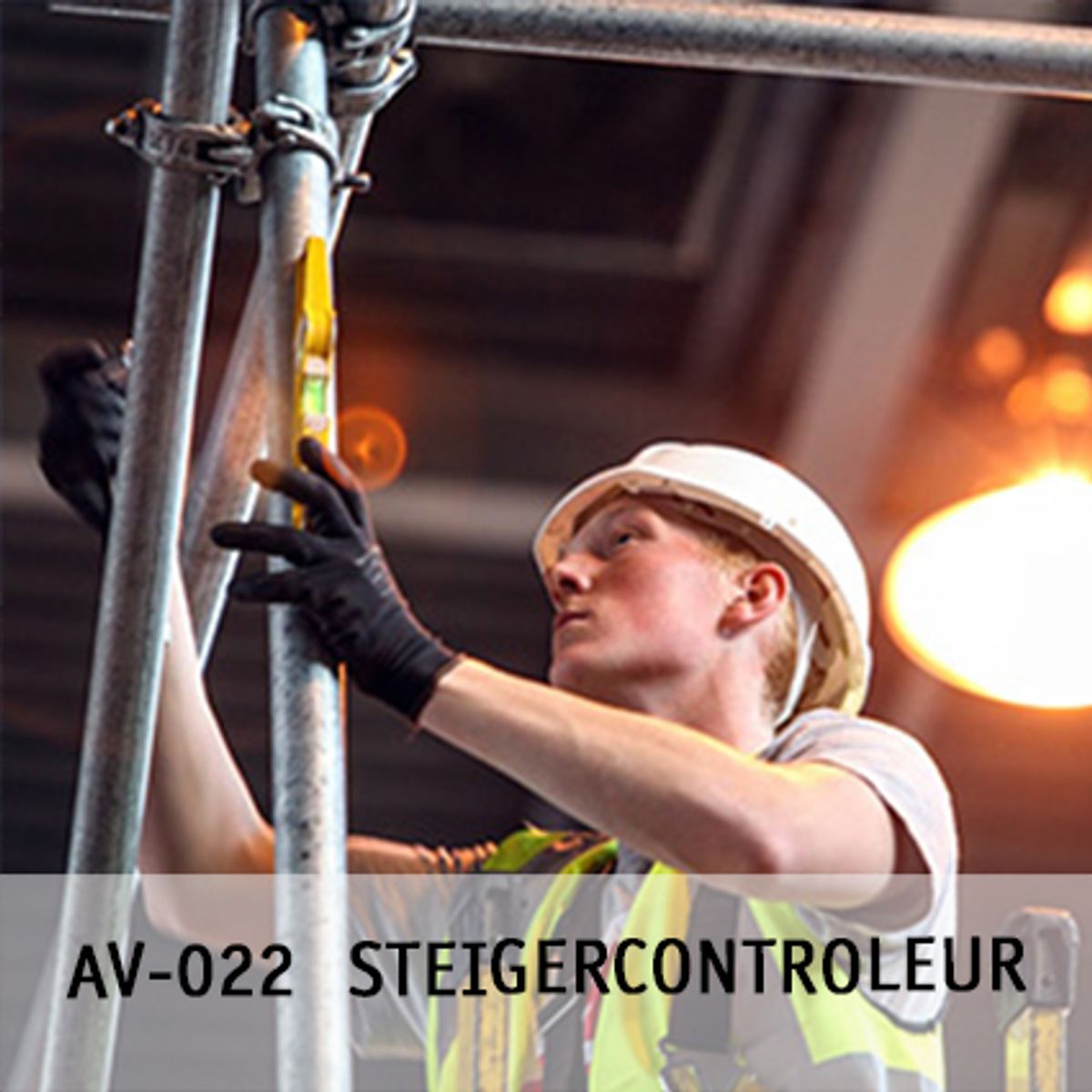 AV 022 Steigercontroleur