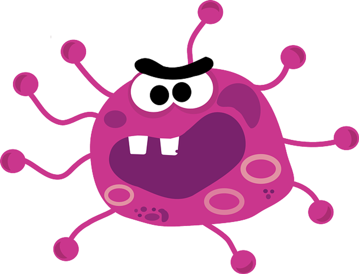 Bacterie