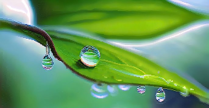A close-up of a droplet of saliva on a green leaf, highlighting the droplet's clarity and the leaf's texture.