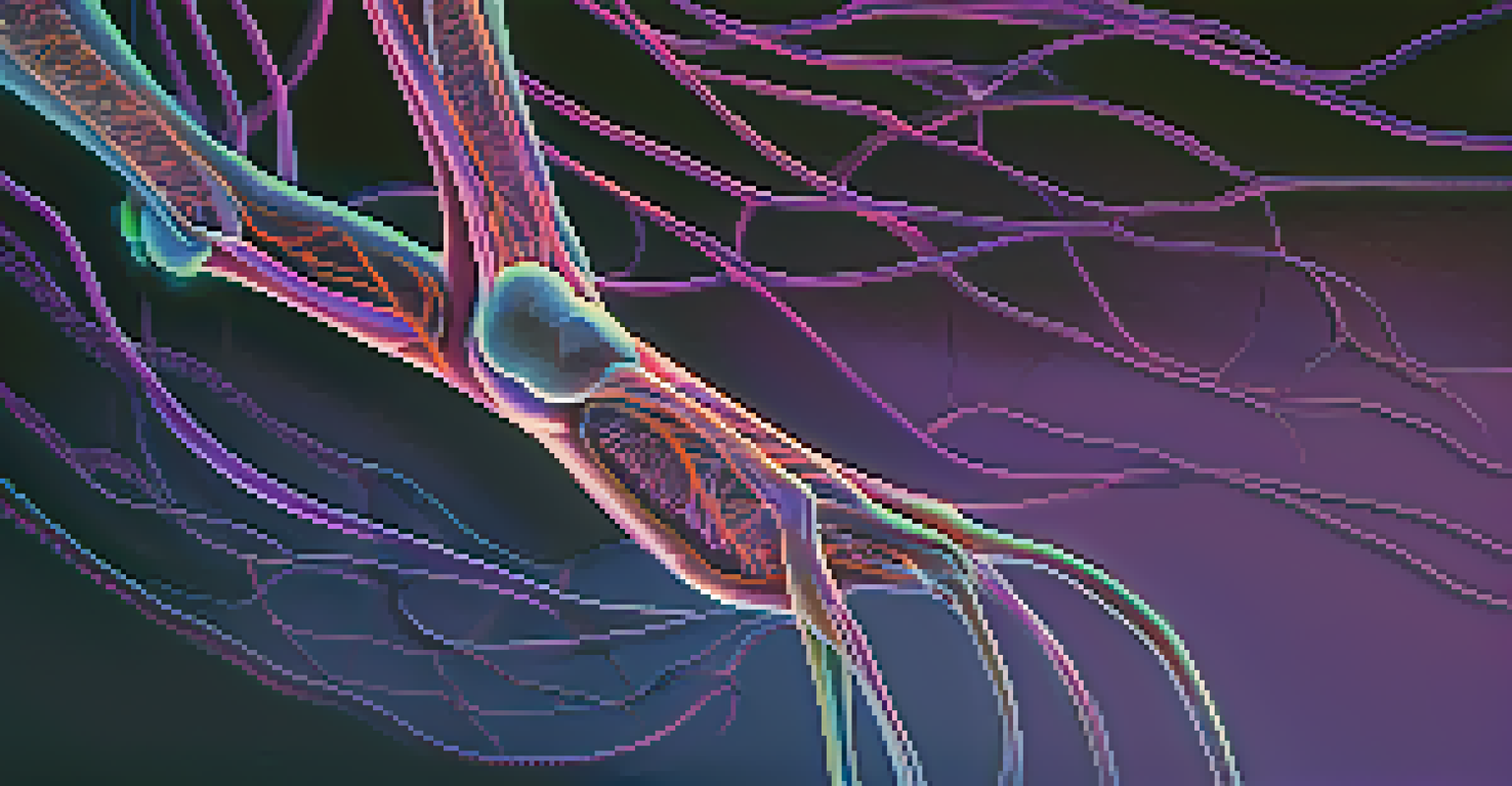 An illustration of the human nervous system with glowing pathways in the legs, set against a deep blue and purple background.