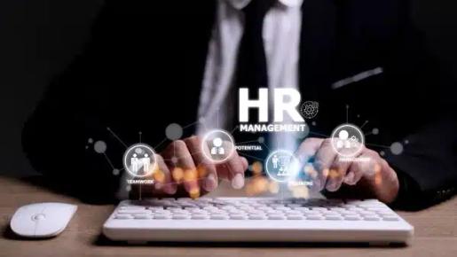Best HR Software in Egypt (2026): 8 Platforms Compared