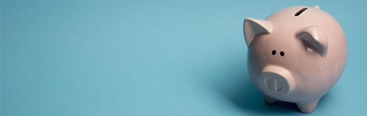 Artikel header afbeelding